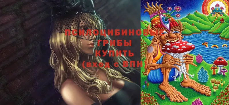 кракен ссылки  Мензелинск  Галлюциногенные грибы GOLDEN TEACHER  наркошоп 